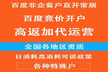 谷歌竞价案例：快速提升品牌影响力的广告策略